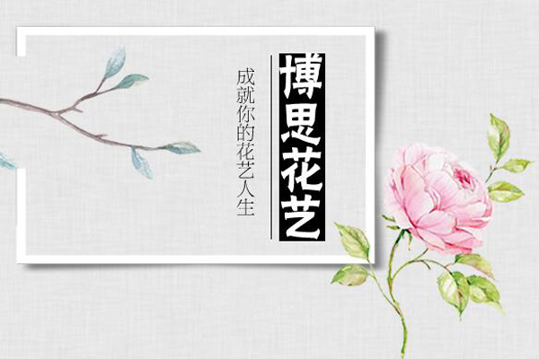 新乡花艺去哪儿学更专业