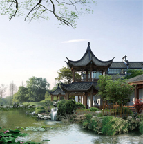 河南插花辅导详细介绍