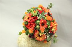 博思教育焦作花艺开店实务操作学习咨询电话