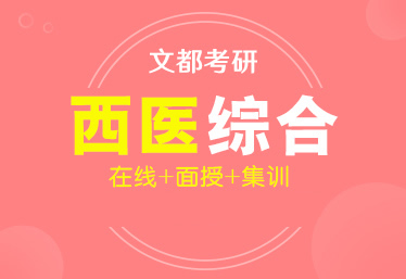 文都考研河南在校生读研备考辅导