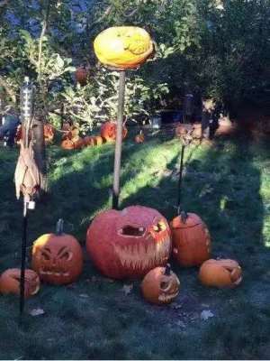 郑州北环路机器人编程学习机构哪儿好